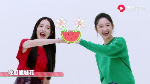 西瓜视频表演吃瓜,一场别开生面的“吃瓜”表演盛宴