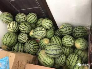 西瓜视频表演吃瓜,一场别开生面的“吃瓜”表演盛宴