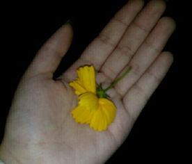 吃瓜读物视频大全,视频大全带你领略娱乐热点