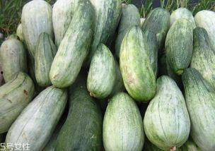 酥瓜叶子可以吃吗视频,揭秘可食用蔬菜的新发现