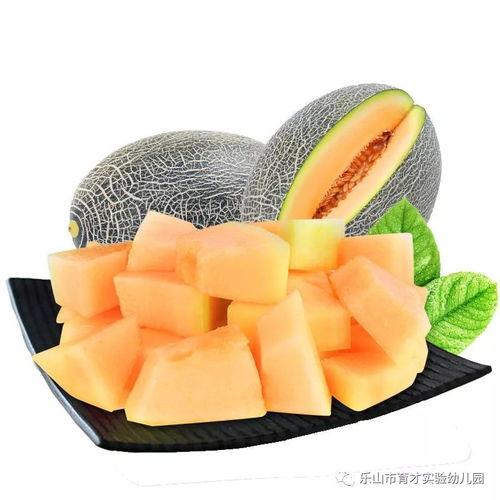 老鼠吃哈密瓜叶子视频,揭秘哈密瓜叶子的美味诱惑